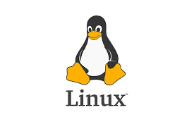 Linux 基础